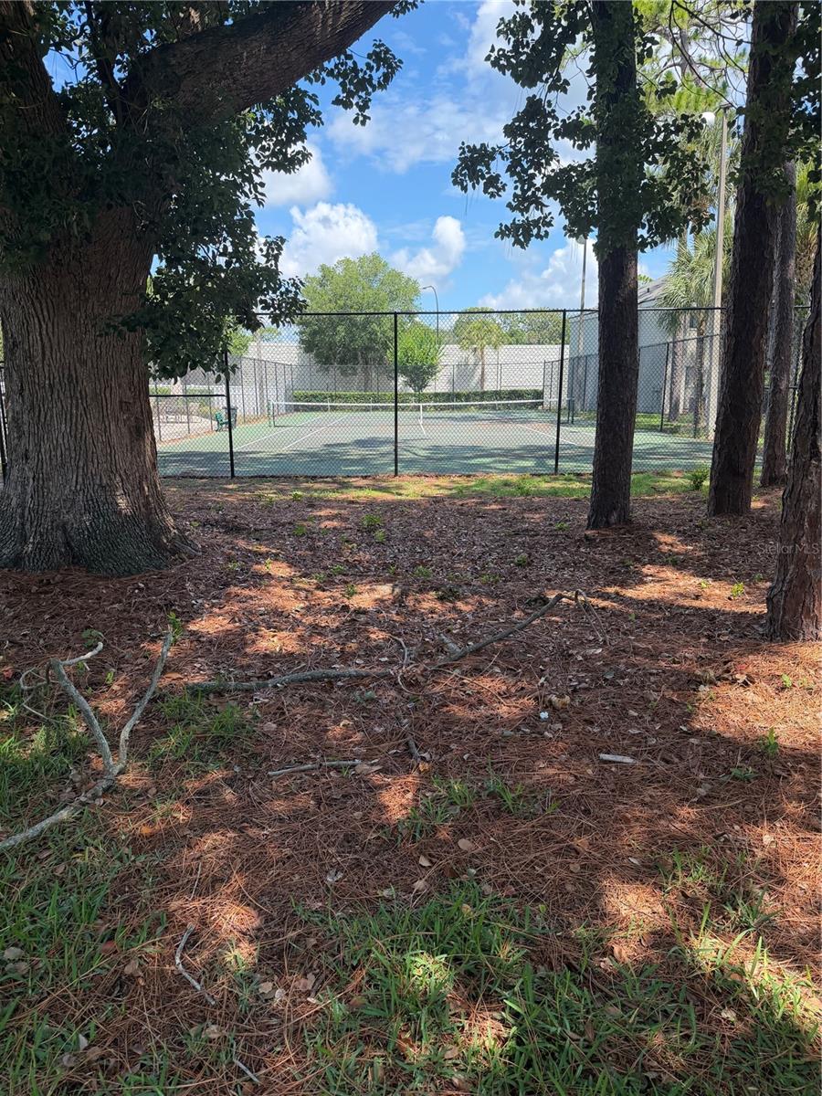 SPRINGWOOD VILLAGE - Residential