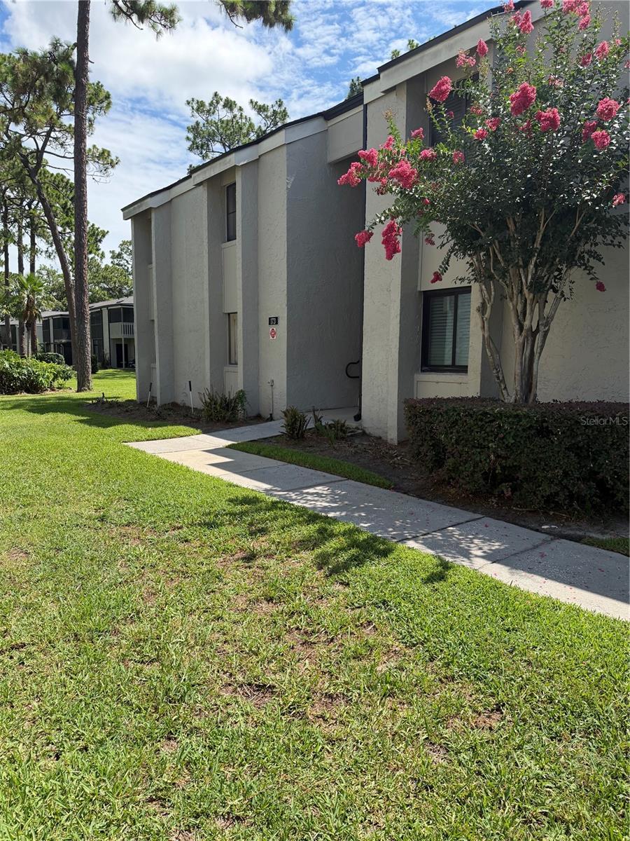 SPRINGWOOD VILLAGE - Residential