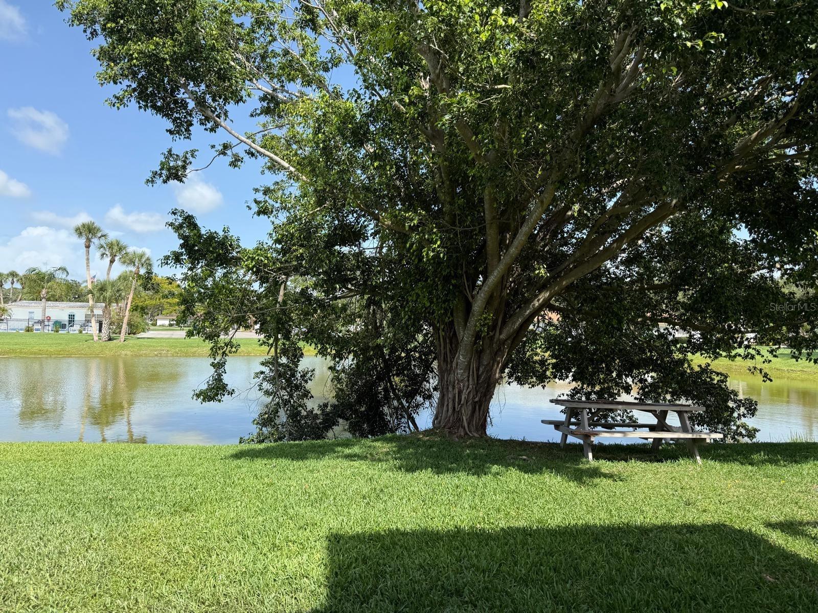 LAKE VIEW CONDO PH IV - Residential