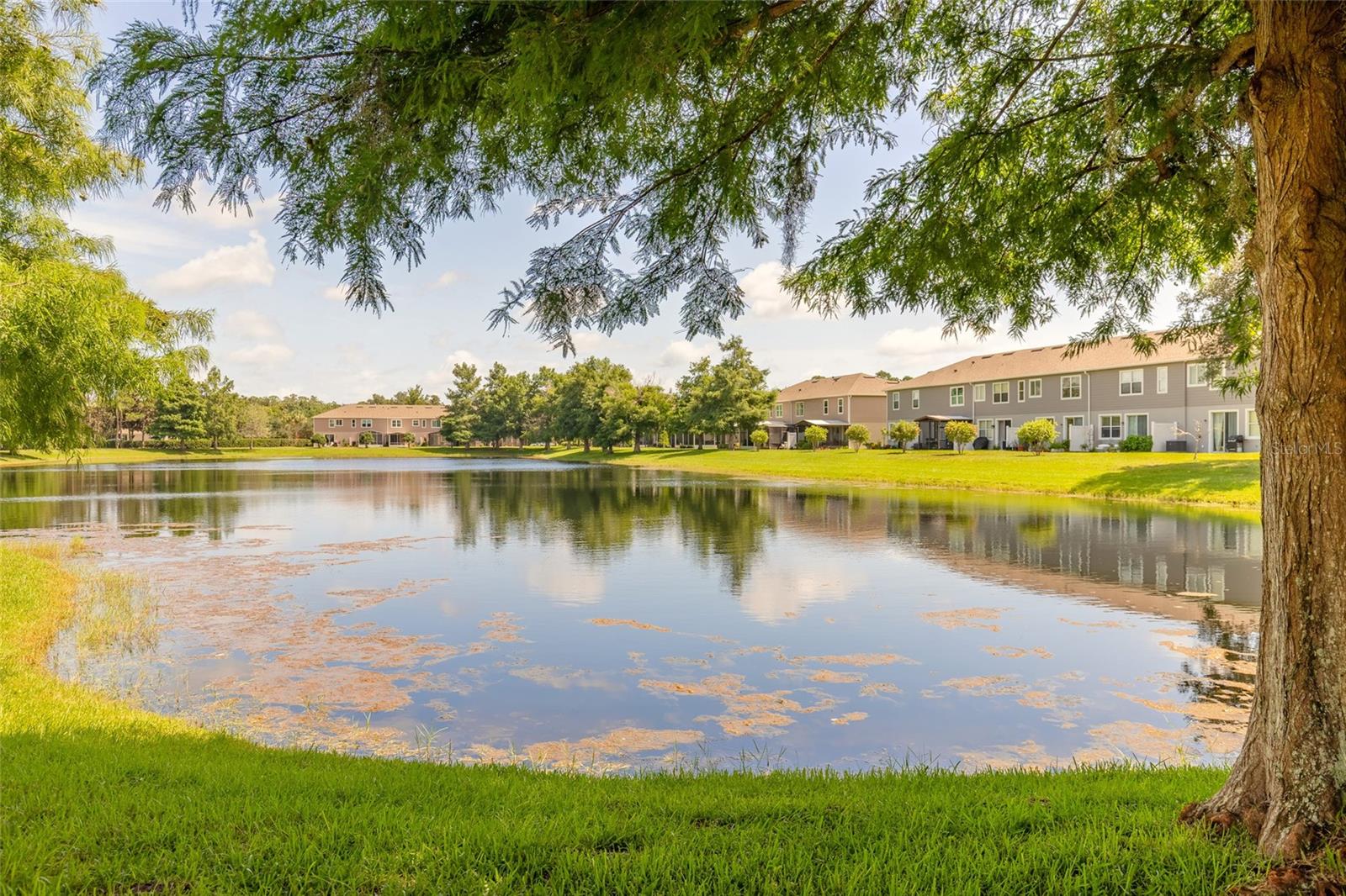LANDINGS SUGAR MILL - Residential