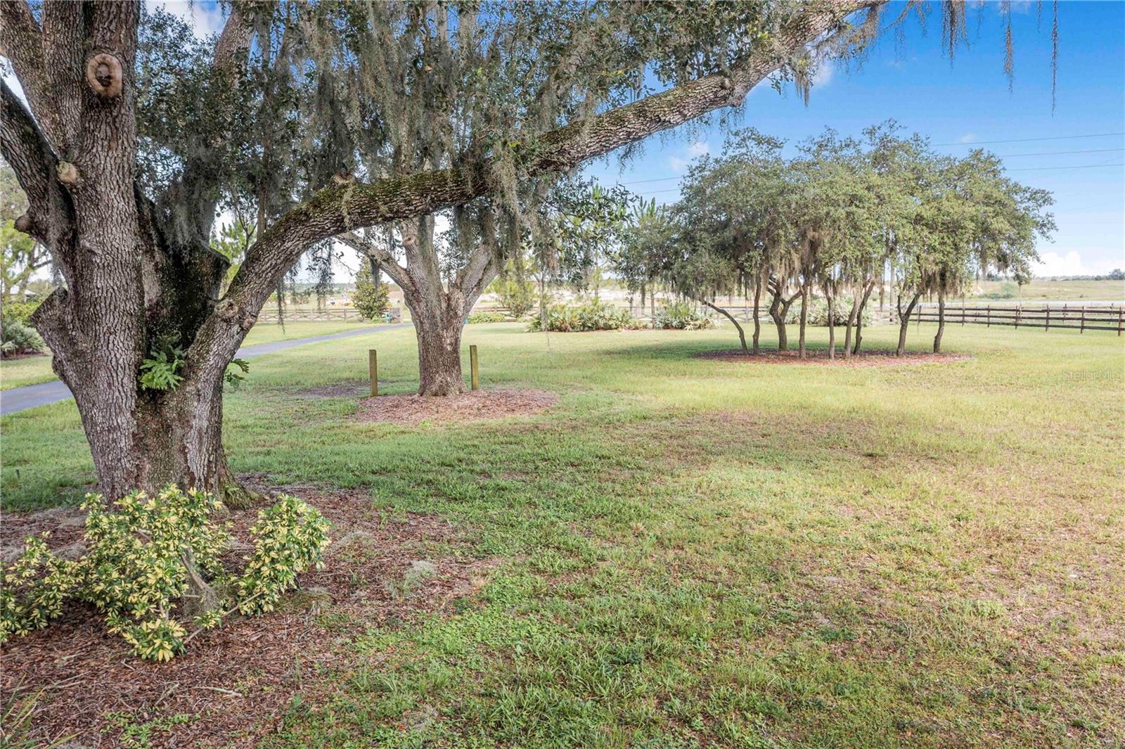 MAMMOTH GROVE SEC 31 - Residential