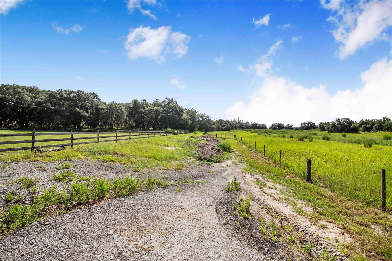 MAMMOTH GROVE SEC 31 - Residential