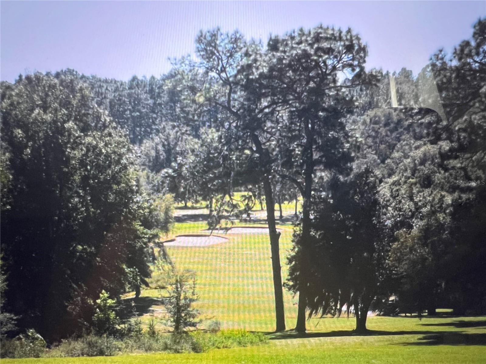 CITRUS SPRINGS - Land