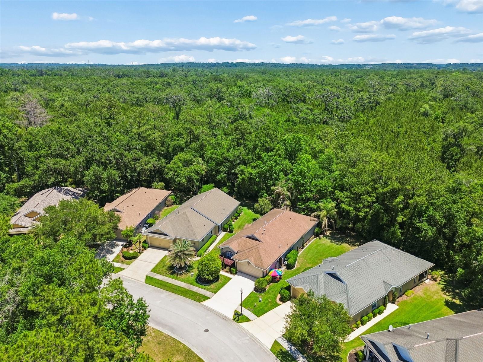 HERNANDO OAKS PH 1 - Residential