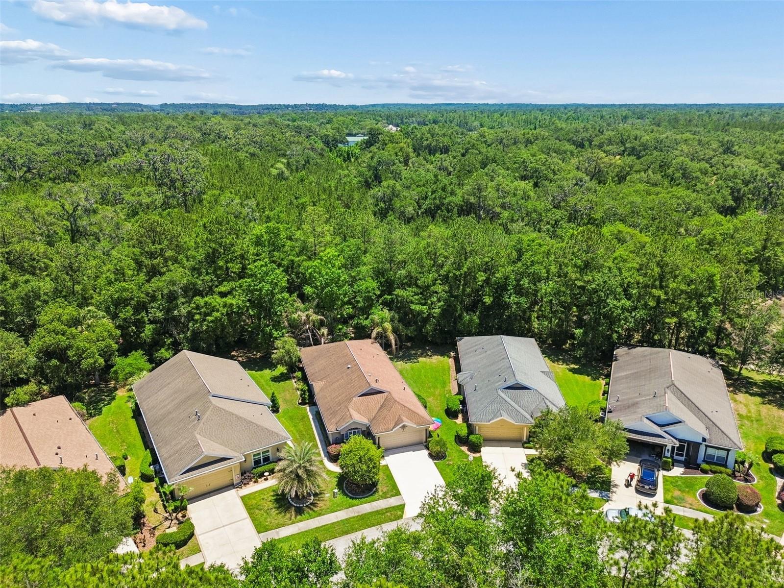 HERNANDO OAKS PH 1 - Residential