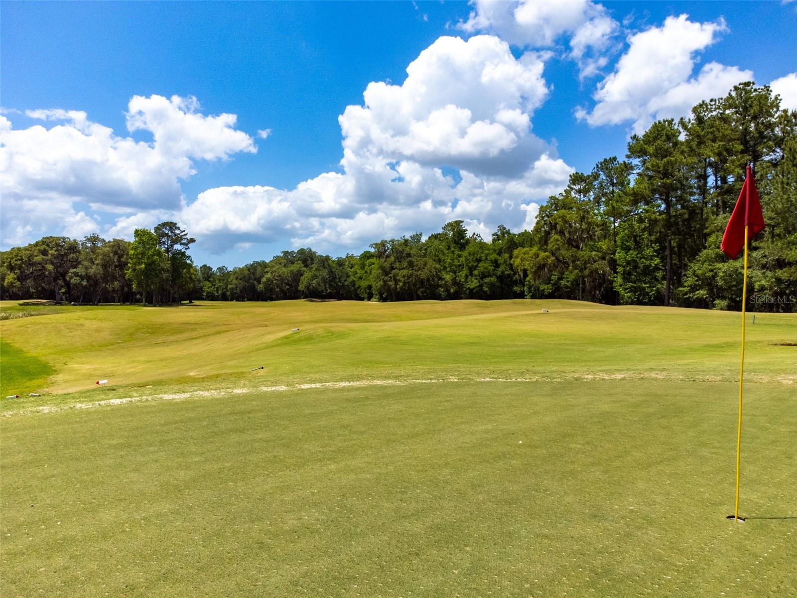 HERNANDO OAKS PH 1 - Residential