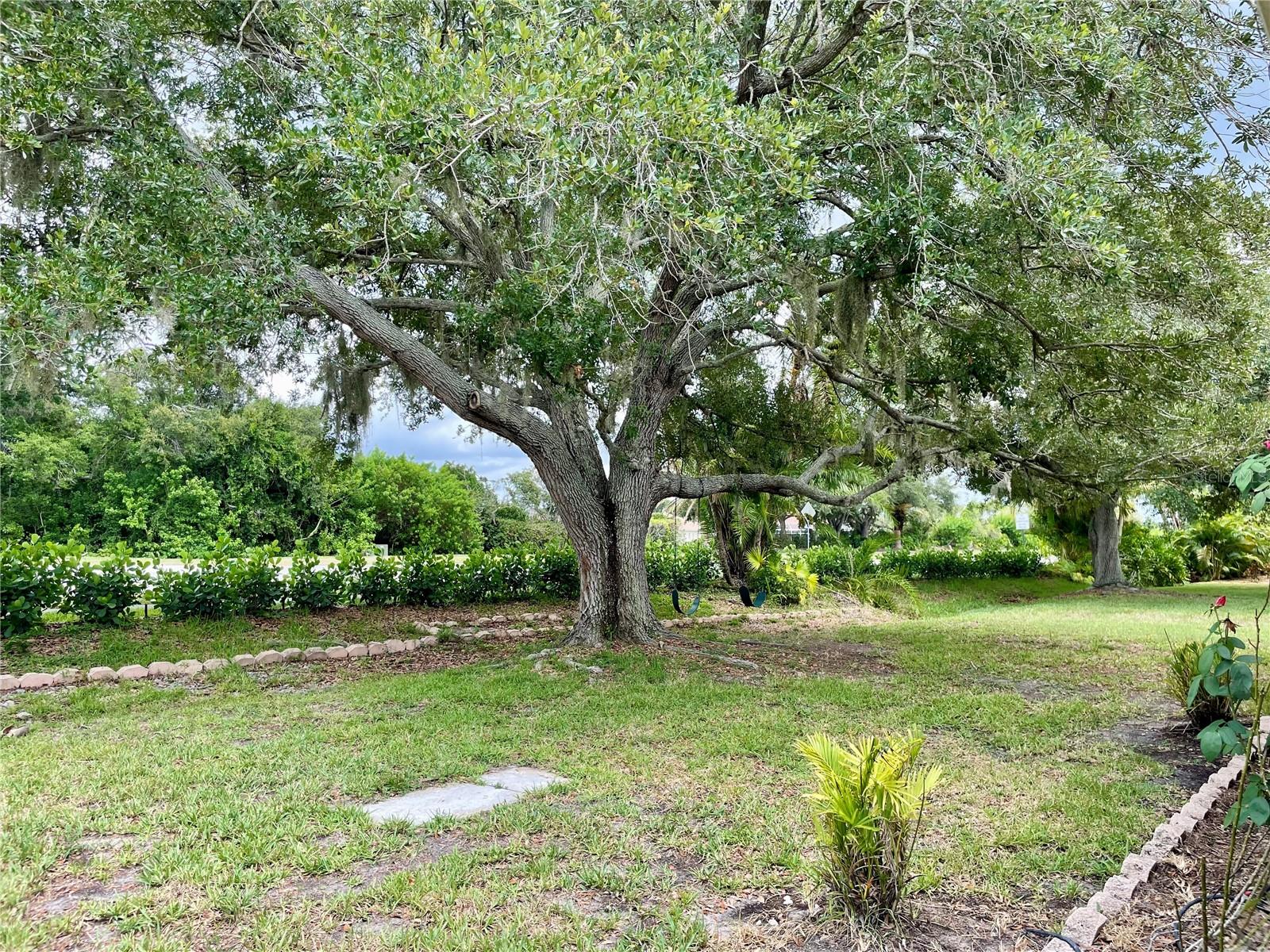 CHAPARRAL - Residential