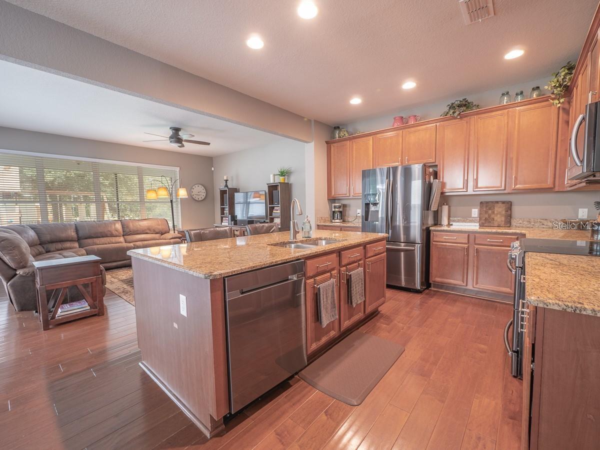 LAKE SAWYER SOUTH - Residential