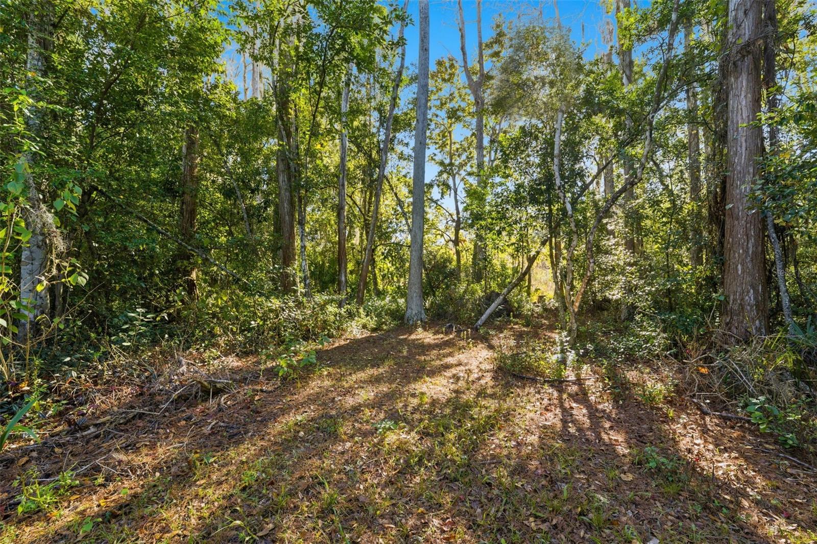 MOON LAKE ESTATES - Land