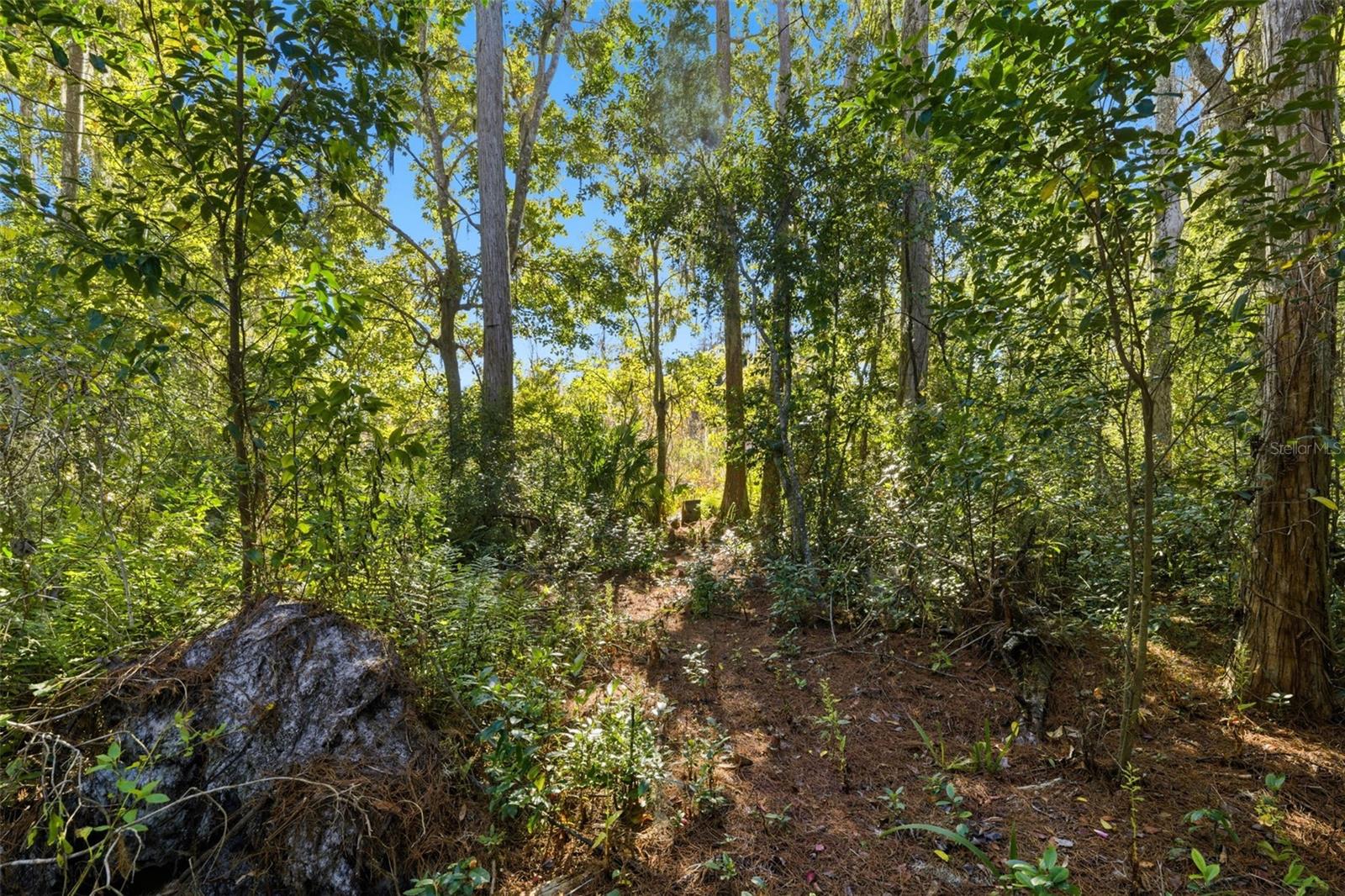MOON LAKE ESTATES - Land