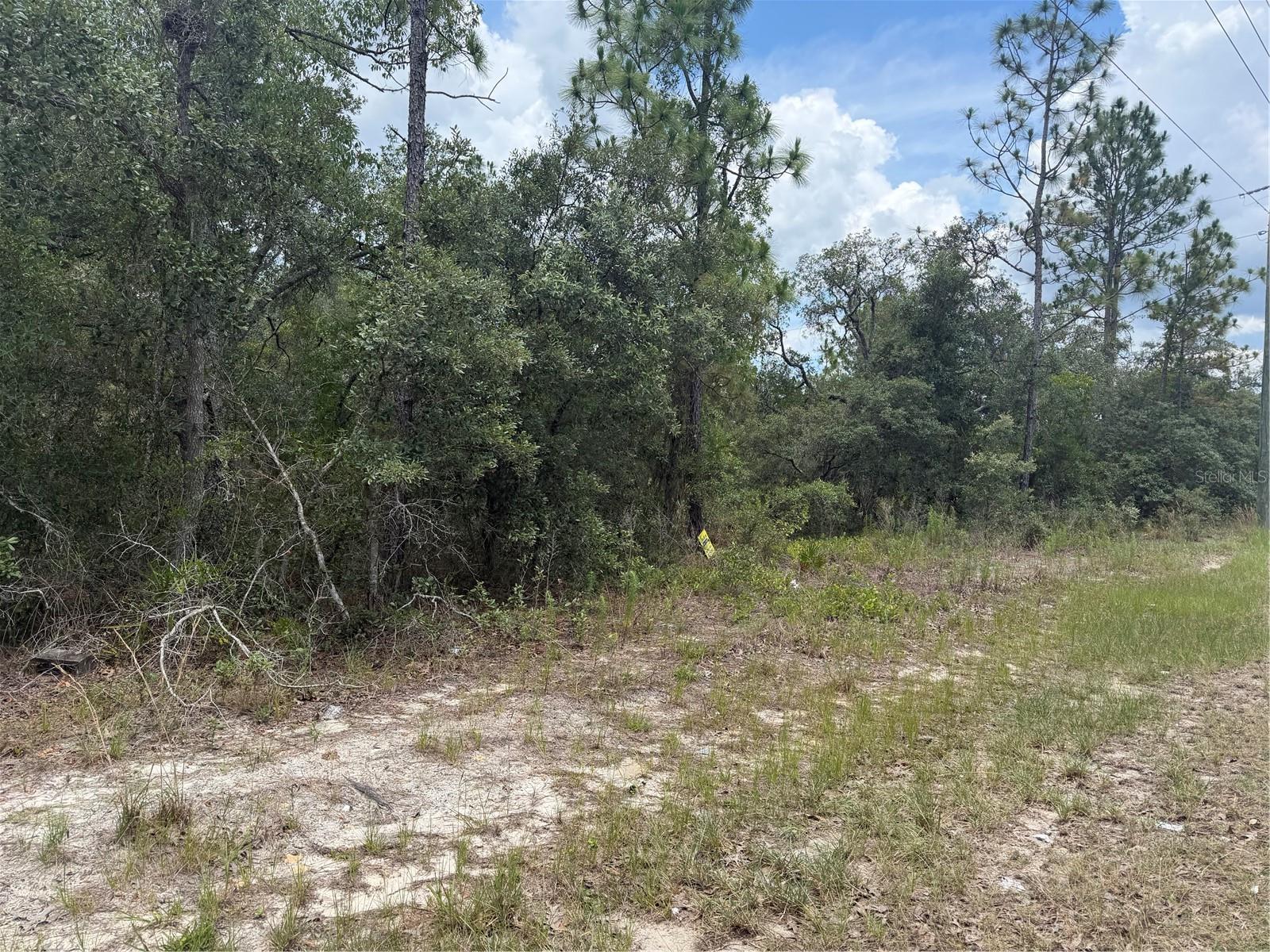 Discover the possibilities with this beautiful 1+ acre homesite zoned RURMH in a quiet, established Homosassa community. Located on a paved road, this property offers plenty of space, while still providing a peaceful, rural setting. No HOA or CDDs here! Enjoy the charm of country living with convenient access to local shopping, dining, outdoor recreation. An additional adjoining 1+ acre parcel located directly in the rear of this property is also available for purchase under a separate listing, creating a unique opportunity for expanded acreage, added privacy, or future investment potential. Buyer to verify zoning, permitted uses, setbacks, access, easements, utilities, and all development requirements with Citrus County.
