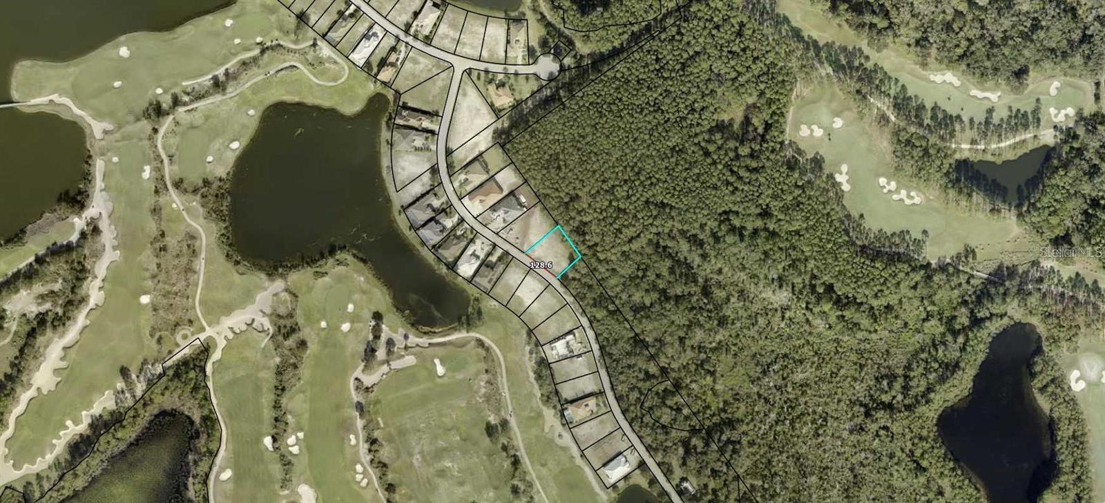 CONSERVATORY/HAMMOCK BEACH - Land