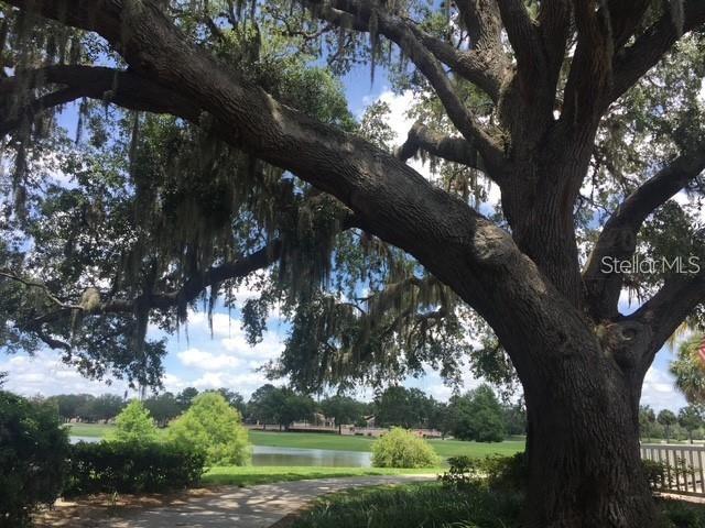LADY LAKE ORANGE BLOSSOM GARDENS UNIT 14 - Residential Lease