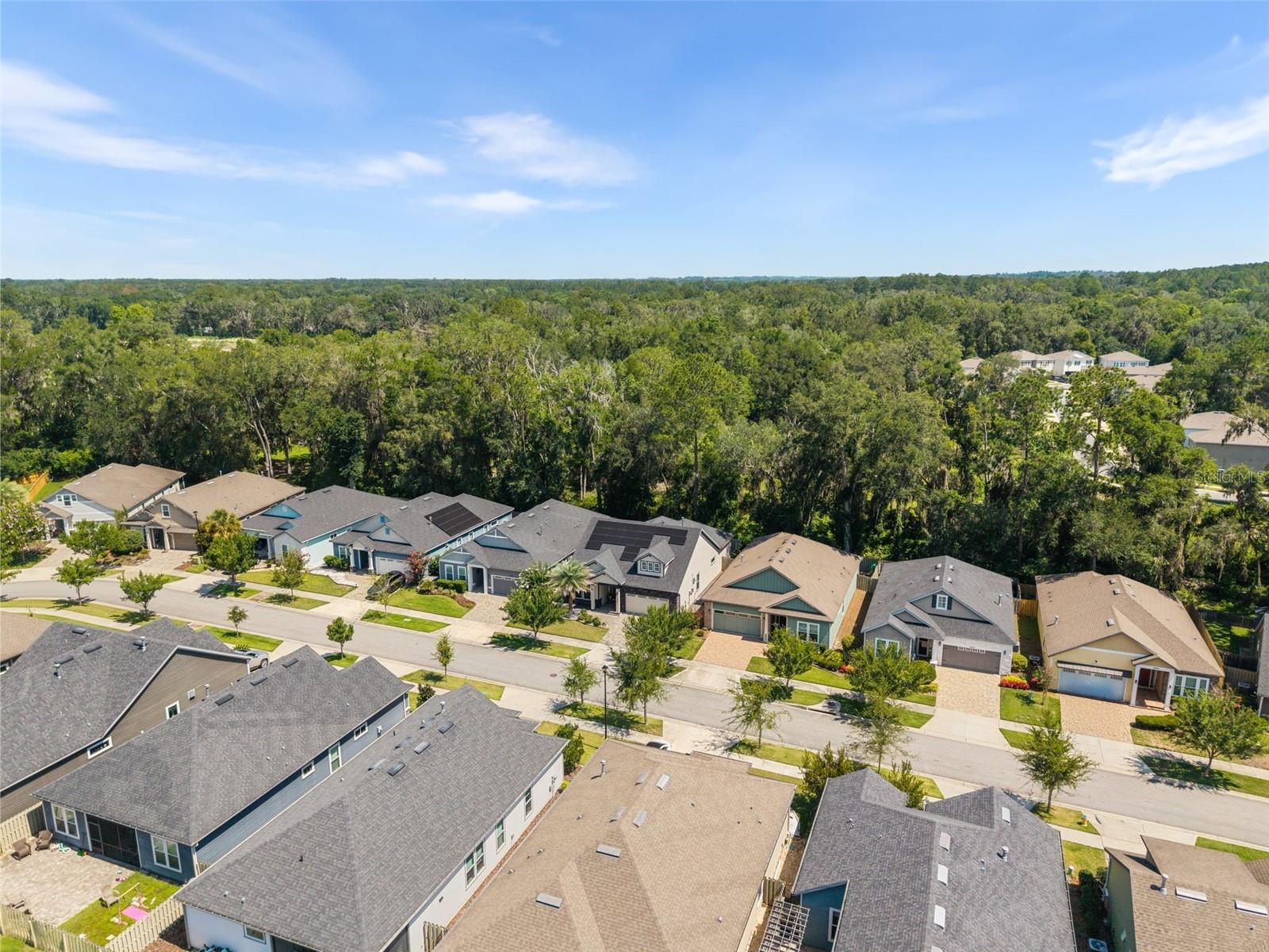 ARBOR GREENS PH II - Residential