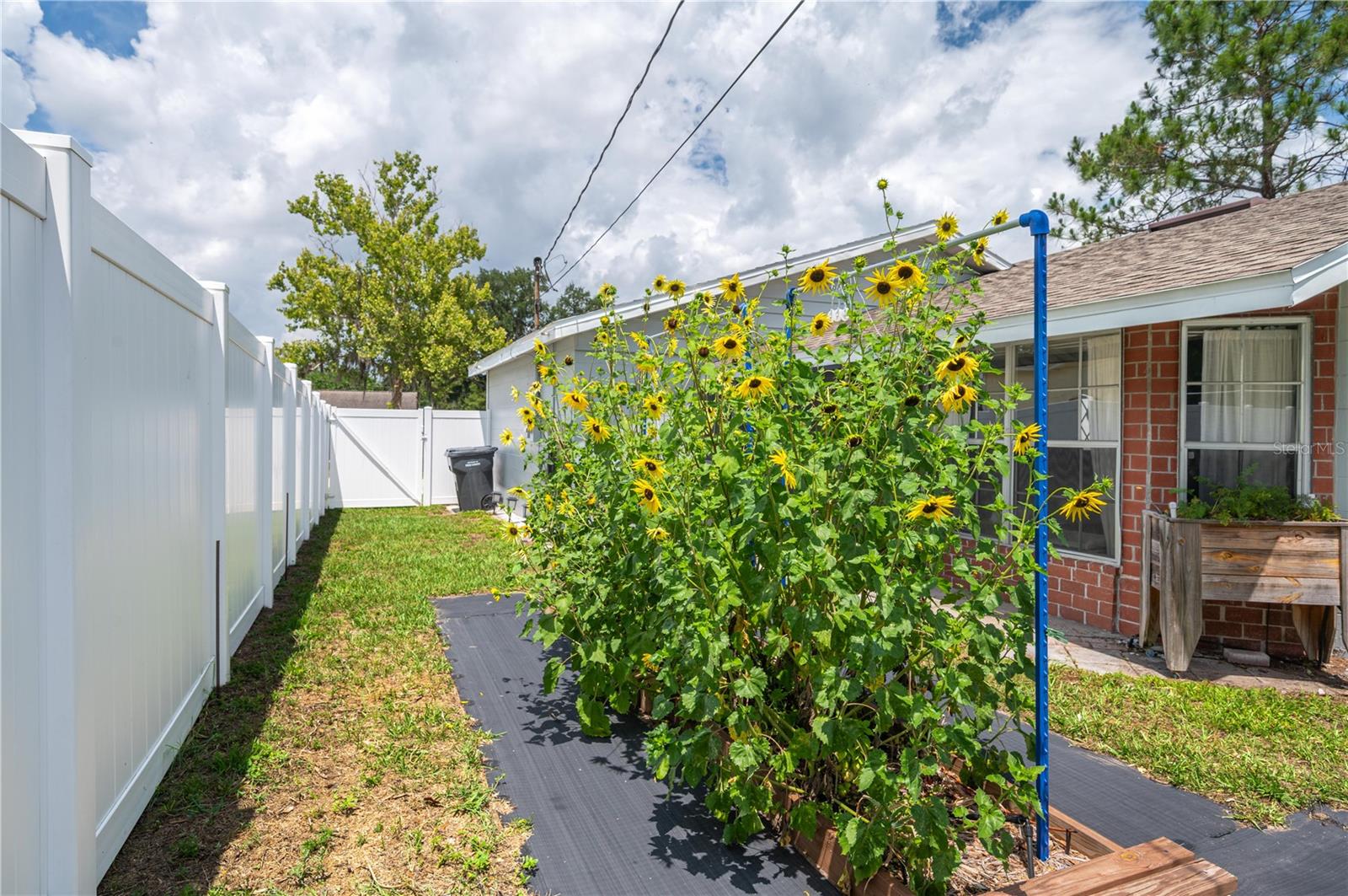WILLOW WISP PH 02 - Residential