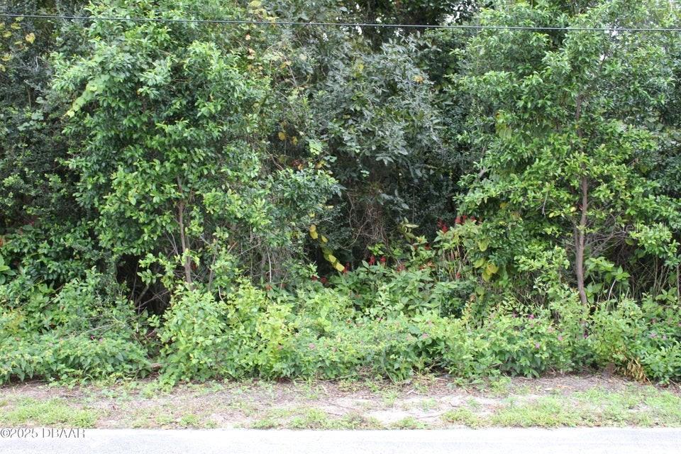 This almost 4 acre property with access on Fred Gamble Way and Fleming Ave. has the potential for someone to have a fantastic location, close to shops, restaurants and minutes from Granada Blvd., Beach St. and the bridge that takes you to the Ocean.