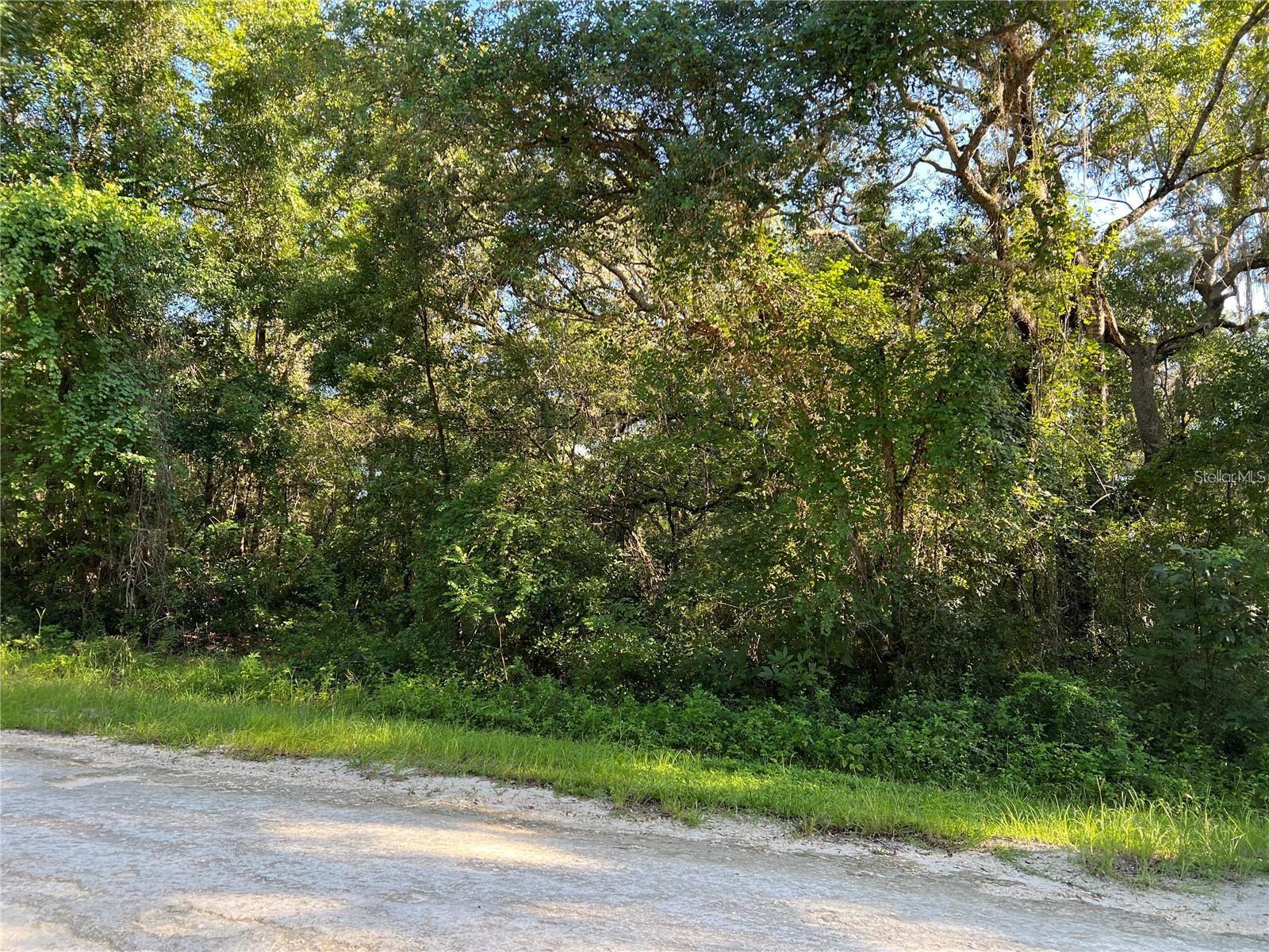 RIDGE MANOR ESTATE - Land