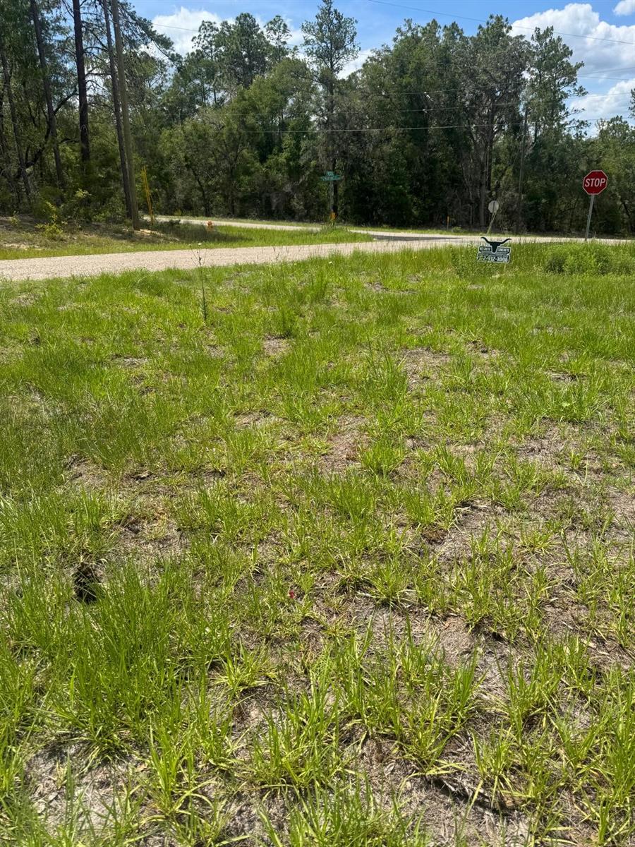 CITRUS SPGS UNIT 20 - Residential Lease