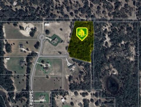 Set behind the gates of Saddle Ridge, this 6.92+/- acre residential estate lot offers the perfect blend of privacy, prestige, and potential. Nestled on Woods View Court, this estate lot provides room to roam, build, and breathe, all within a thoughtfully curated community. Located less than an hour from Orlando and just a short drive to The Villages, it’s ideally situated for both convenience and escape. Adventure seekers and lake lovers will enjoy quick access to the sparkling waters of Lake Weir—offering nearly 5,700 acres of boating, fishing, and waterfront fun. In an area seeing steady new development, this is your chance to secure space before it's gone.

All information is believed accurate and correct but not guaranteed or warranted and subject to change without notice.