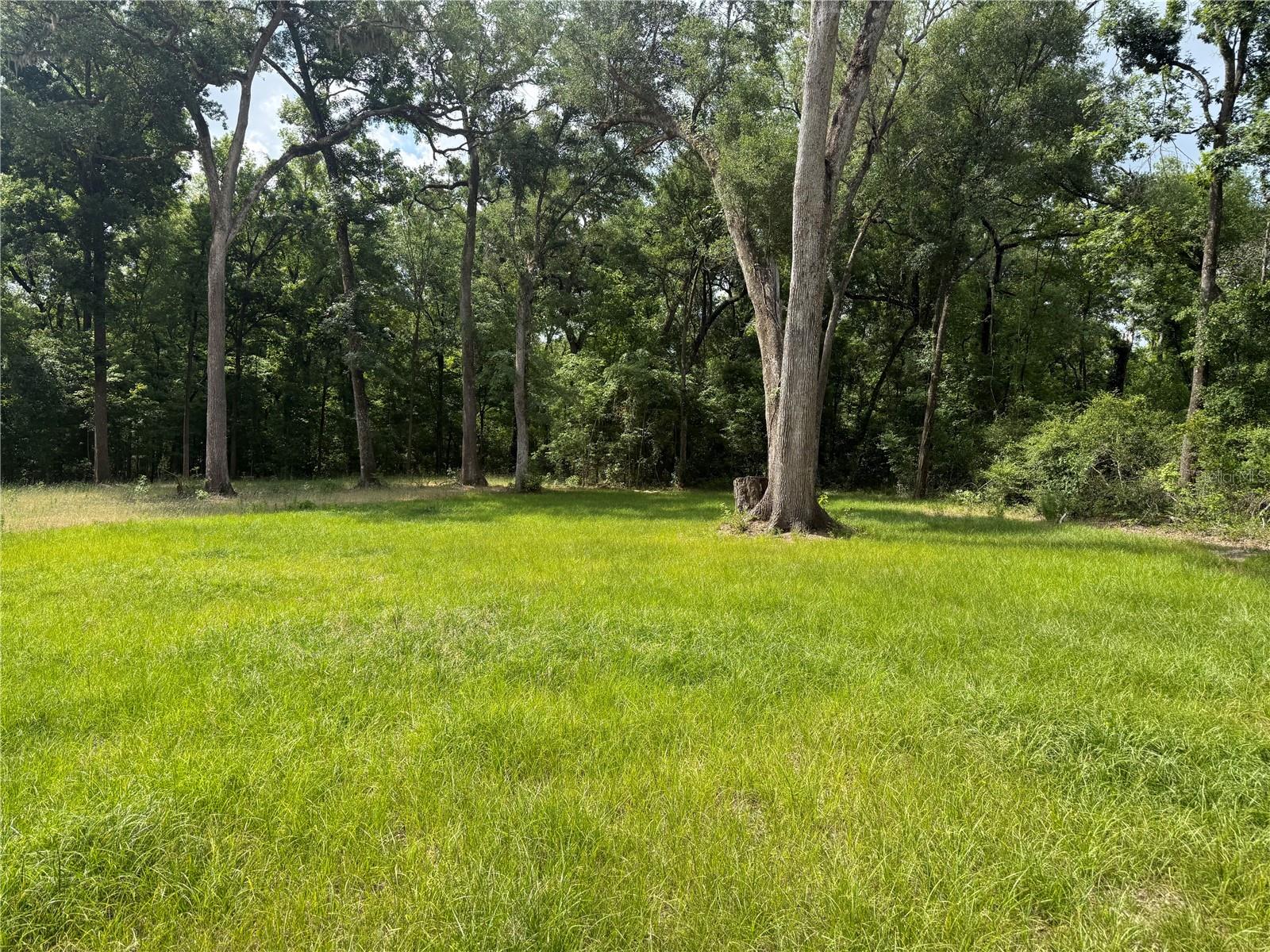 RIVERS ESTATE - Land