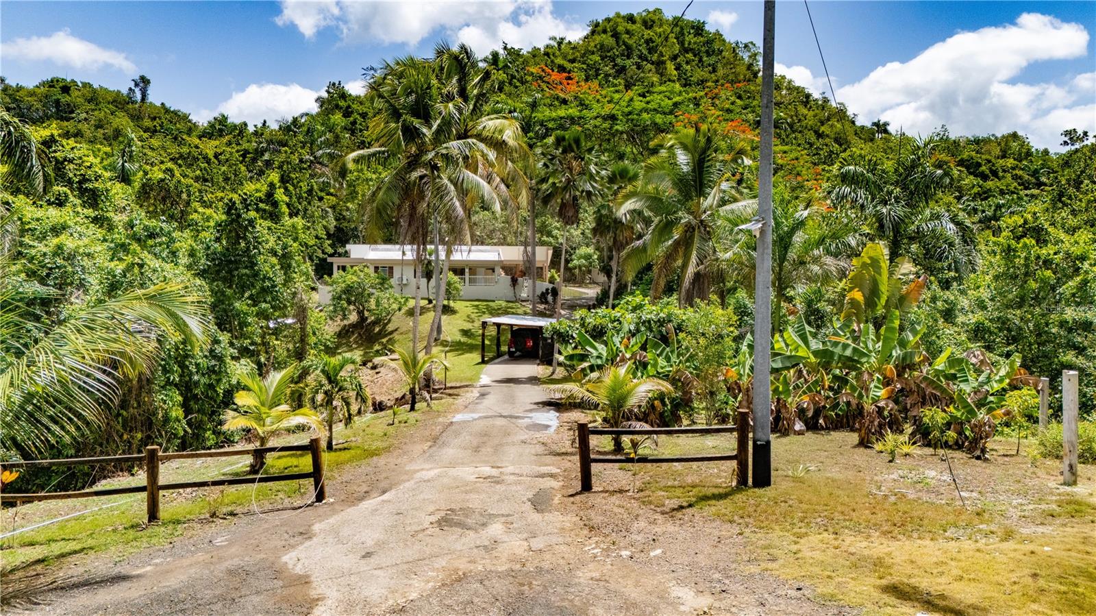 Country Retreat in Esperanza, Arecibo — 3.1 Cuerdas of Privacy & Nature

Escape to your own private sanctuary in the heart of Esperanza, Arecibo. This approximately 2,700 sq ft, 4-bedroom, 3-bathroom home sits on 3.1 cuerdas of lush, fertile land offering the rare combination of space, privacy, and a true connection to nature, just 15 minutes from Highway 22.

Property Highlights

4 spacious bedrooms, 3 full bathrooms, plus a covered terrace

Approximately 2,700 sq ft of living space with an open, comfortable layout

Chef-inspired kitchen, perfect for those who love to cook and entertain

36,000 BTU A/C unit in the living room and a 24,000 BTU unit in the primary bedroom stay cool year-round

All new electrical and plumbing systems, fully upgraded in 2021 for peace of mind

3.1 cuerdas of land filled with fruit trees, banana trees, and abundant space for agriculture, gardening, or homesteading

Green-friendly property surrounded by natural beauty and tranquility

Total privacy with quick access to the highway — the best of both worlds

Lifestyle

Whether you dream of growing your own food, raising animals, or simply enjoying mornings surrounded by birdsong and greenery, this property delivers the lifestyle you've been searching for — without sacrificing convenience. Come experience what it means to truly live in harmony with nature.