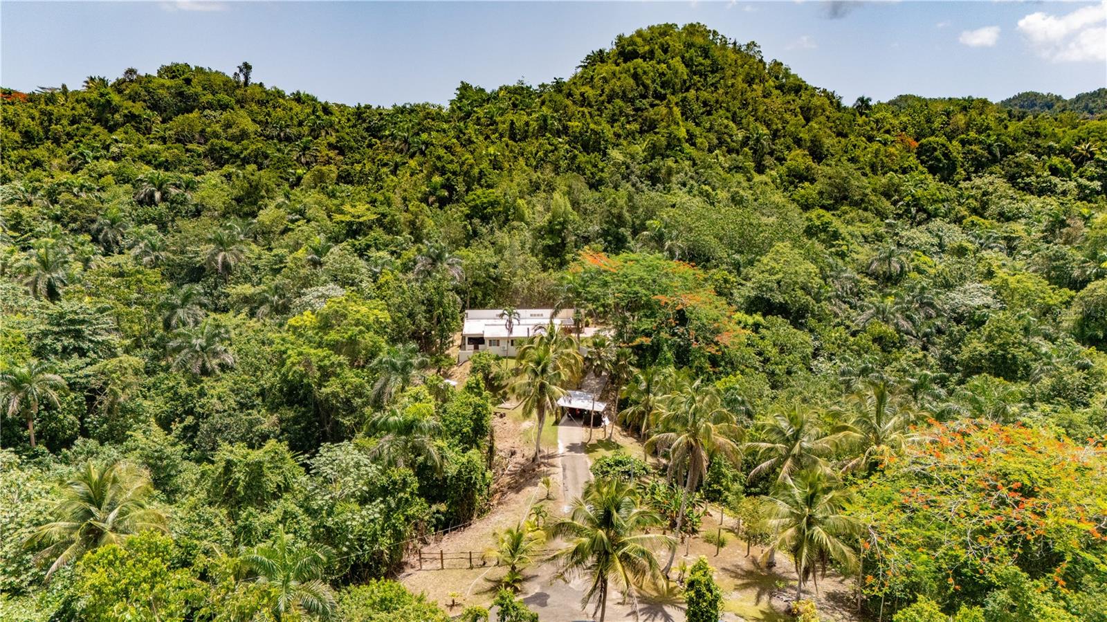 COMM CIENGUETAS - Residential