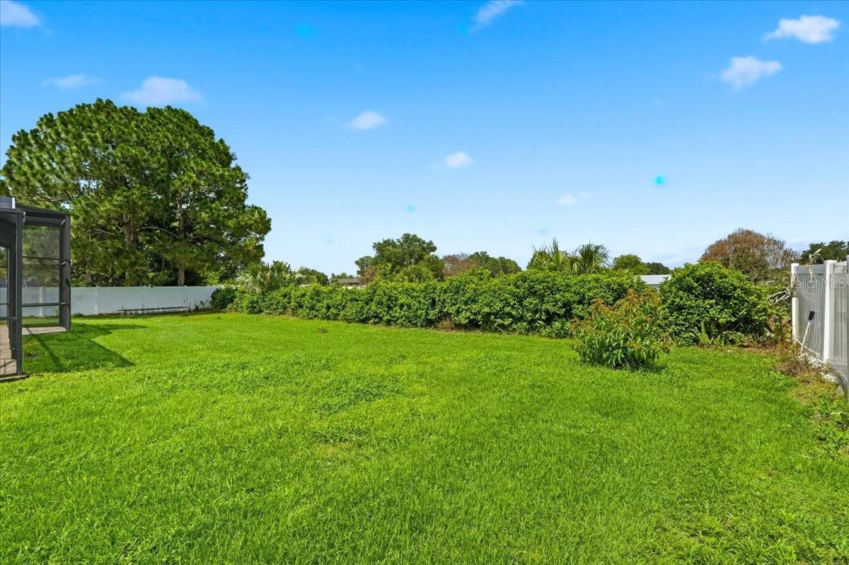LAKE ELOISE PLACE - Residential