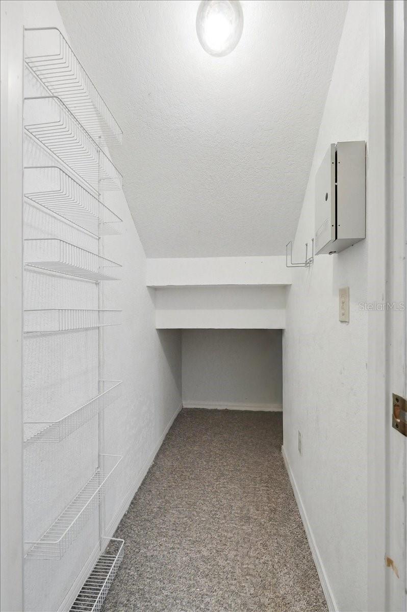 LAKE ELOISE PLACE - Residential