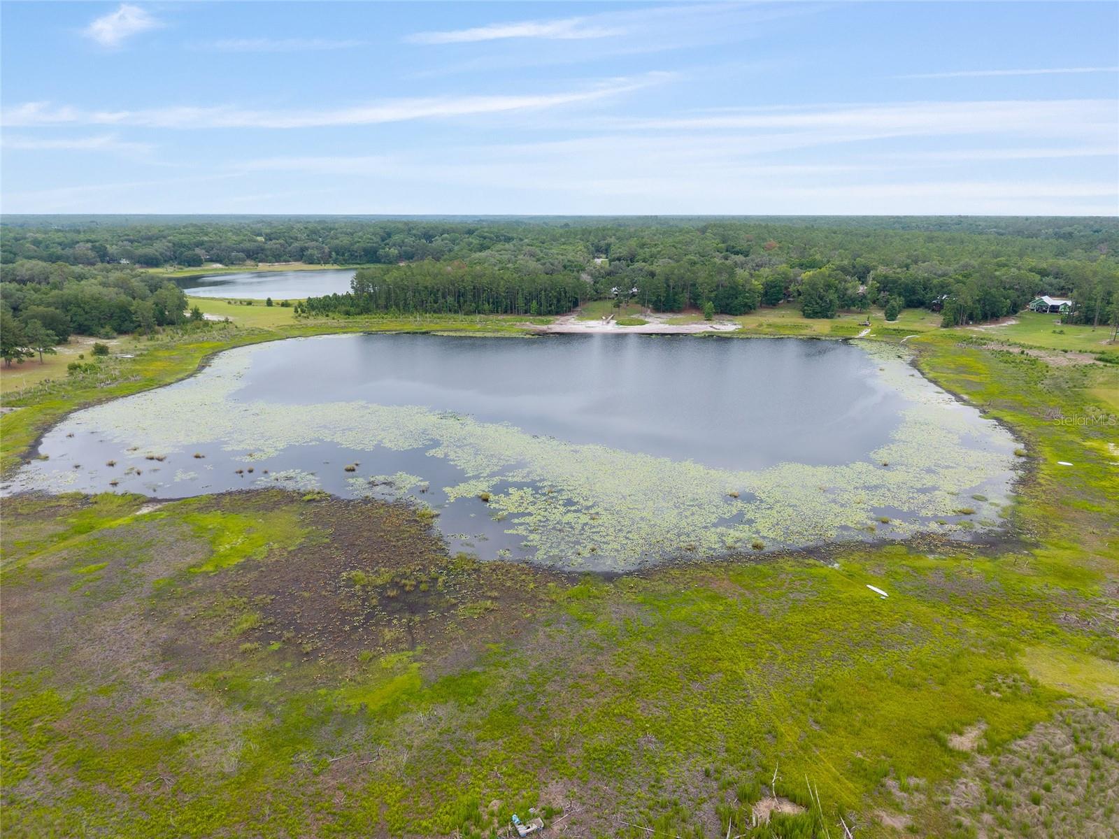 ASHLEY LAKE PLANTATION - Land