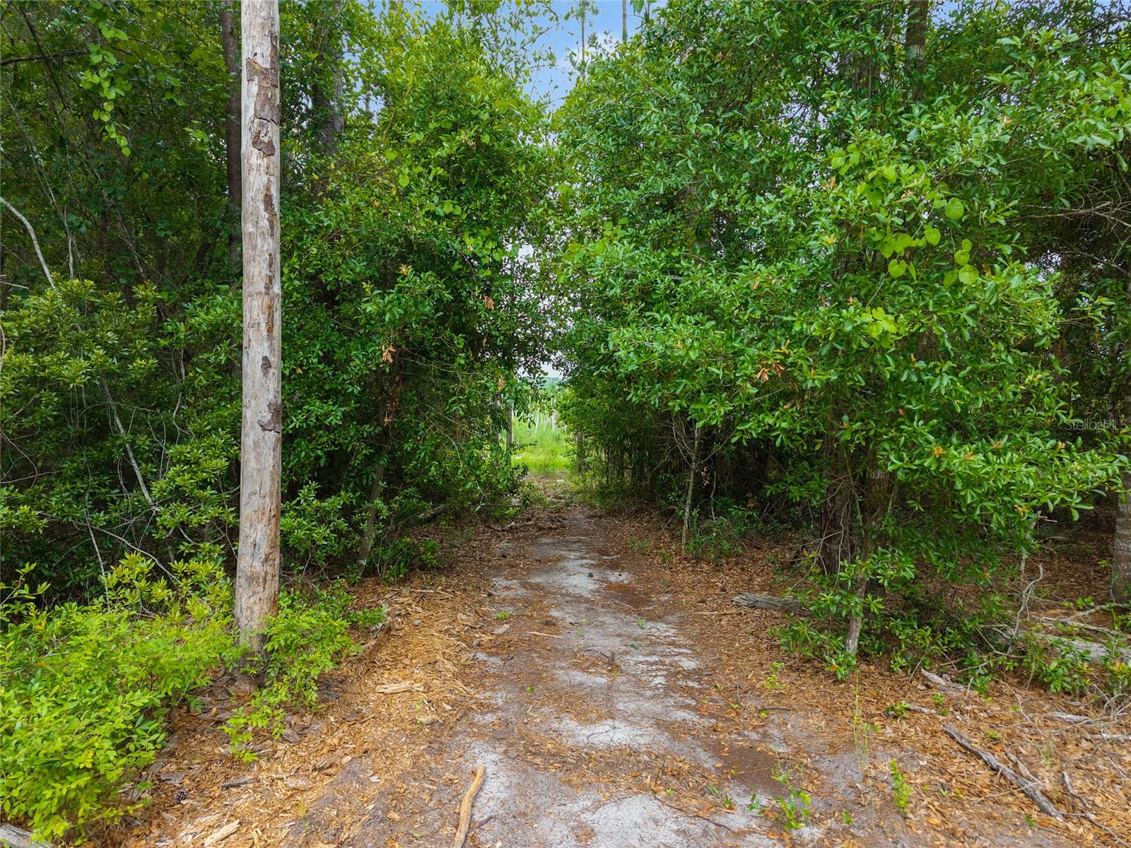 ASHLEY LAKE PLANTATION - Land
