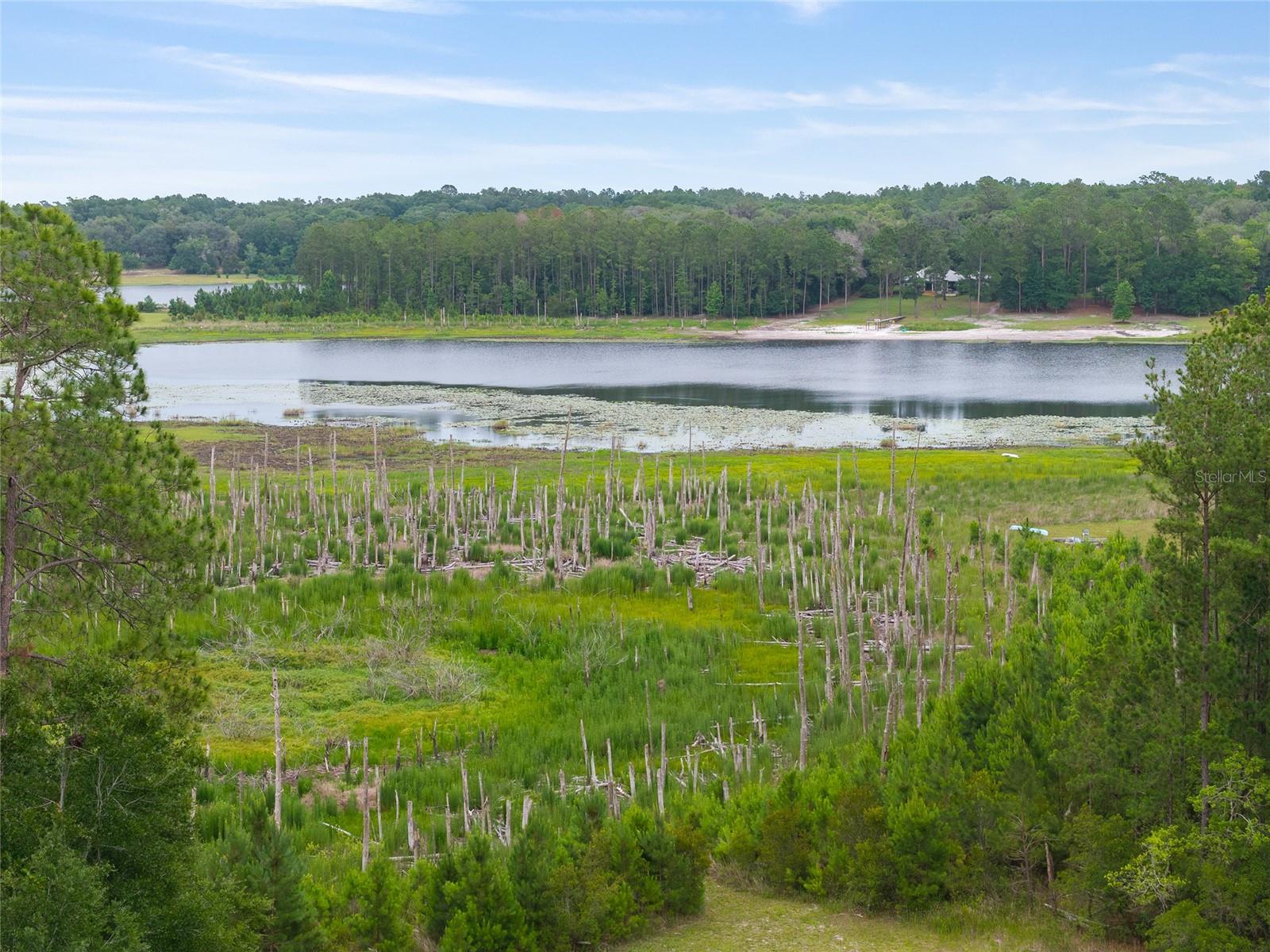 ASHLEY LAKE PLANTATION - Land