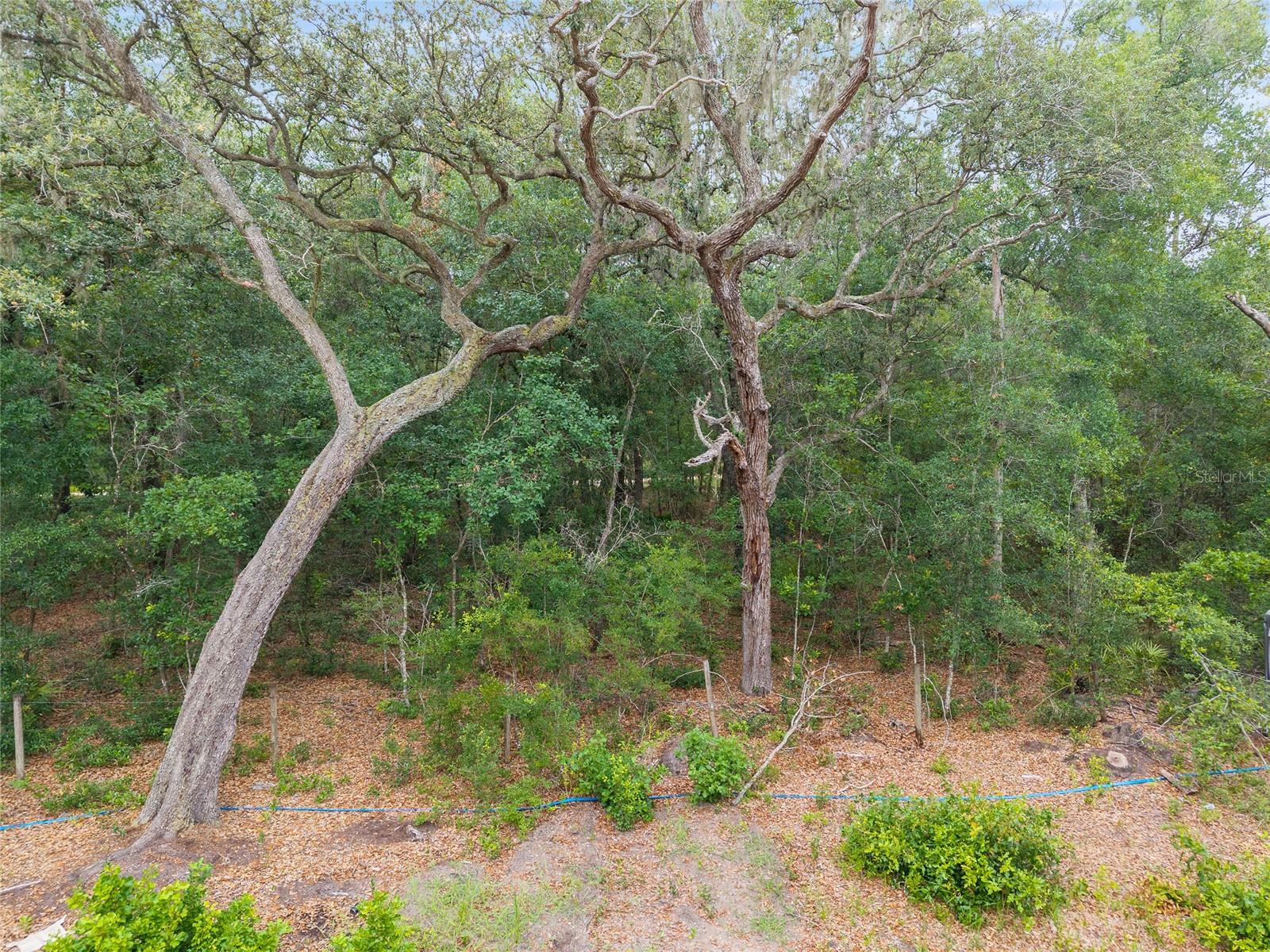 ASHLEY LAKE PLANTATION - Land