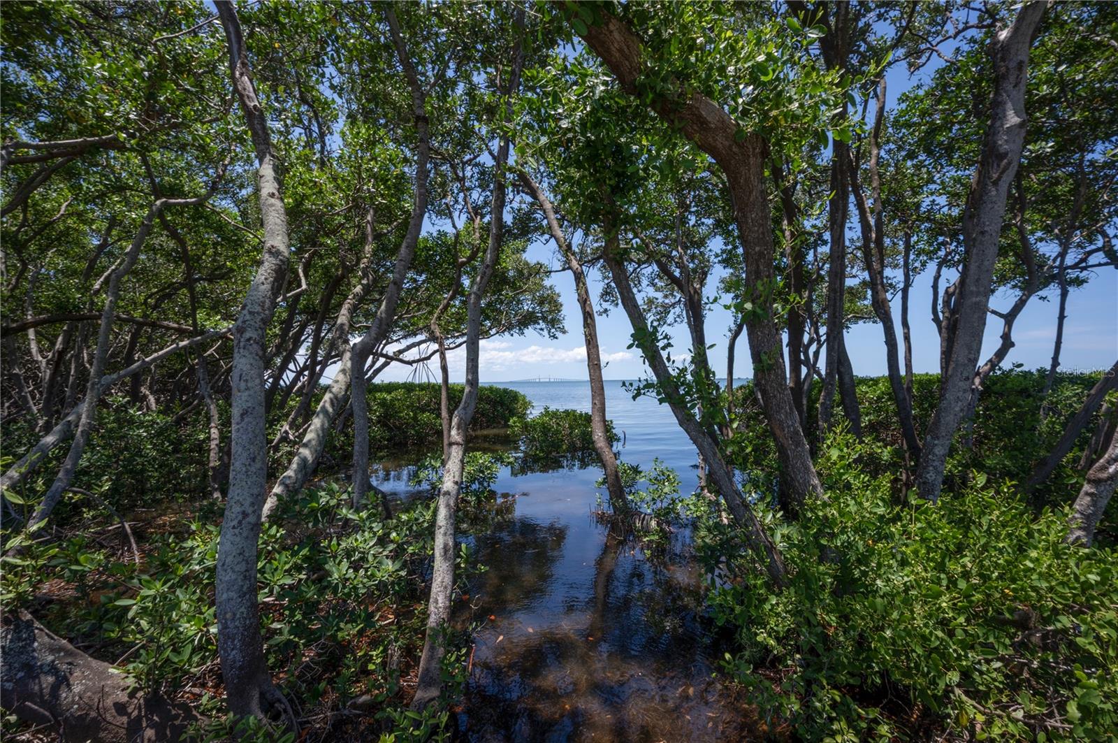 PINELLAS POINT ADD SEC A MOUND SEC - Land