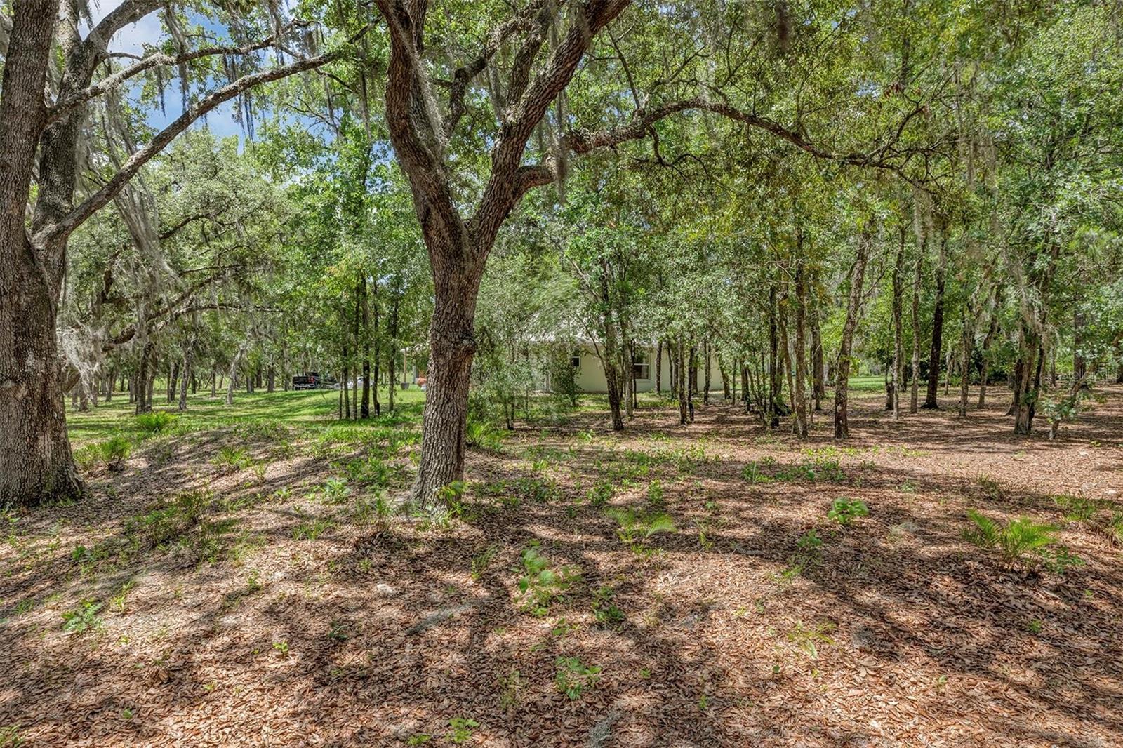 FLORIDA HIGHLANDS AND MARION OAKS - Residential