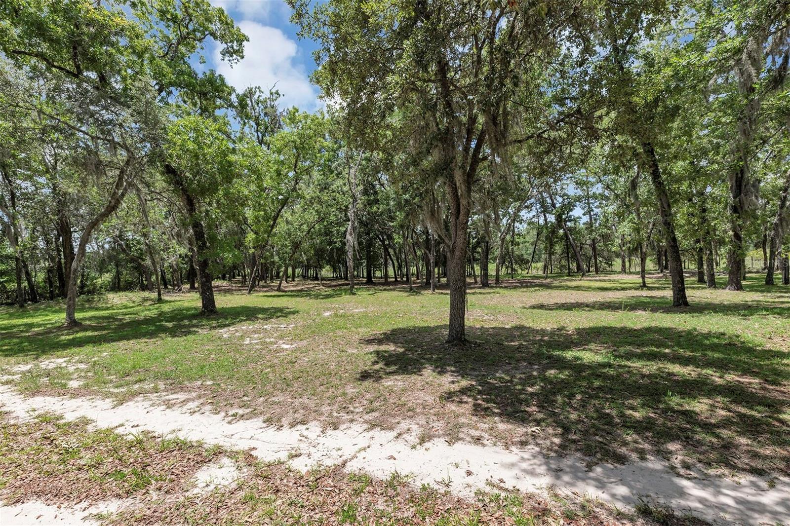 FLORIDA HIGHLANDS AND MARION OAKS - Residential