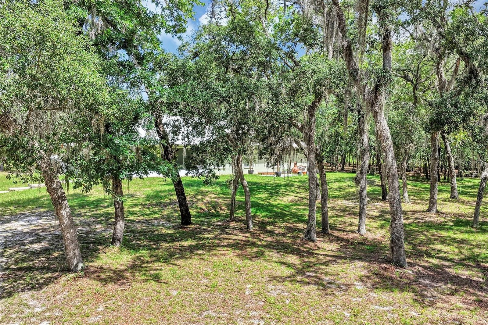 FLORIDA HIGHLANDS AND MARION OAKS - Residential