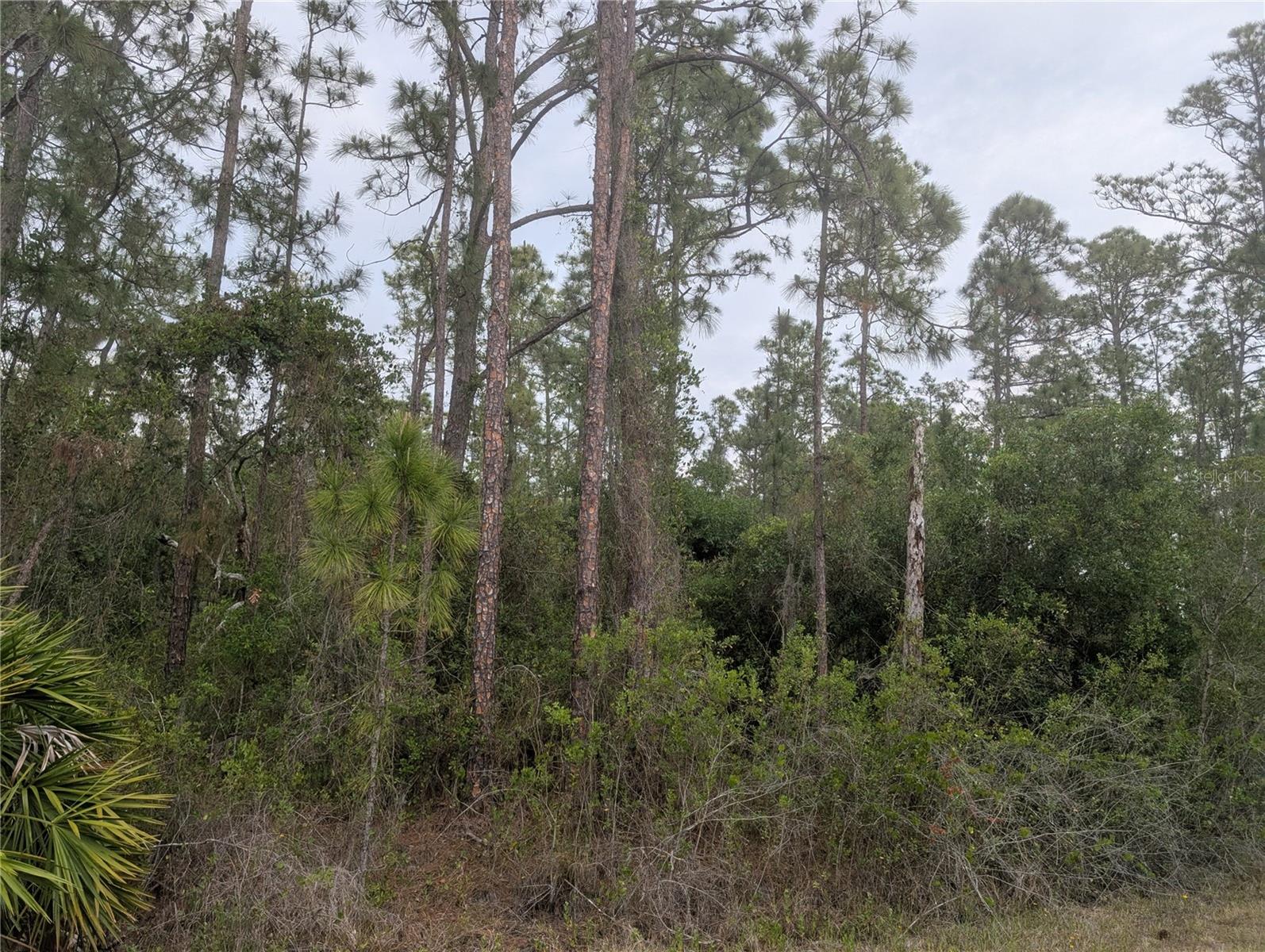 Come build your forever home on this one-half acre lot located in the lake community of Indian Lake Estates, a golfing, fishing and boating community in the center of Florida. You can be out on Lake Walk in Water fishing in just minutes! Indian Lake Estates is about 20 miles east of Lake Wales. The community surrounds the 7,500 acre lake locally known as Lake Walk In Water, nationally known for its fishing and considered to be one of the best bass fishing lakes in all Florida. The lake has a beach, boat ramp, boat marina and the longest freshwater Fishing pier in the State of Florida. The pavilion is located at the front of the pier and is complete with propane grills and covered picnic tables. The community amenities include an 18-hole golf course, basketball and tennis courts, 23, 000 sq.ft. clubhouse, cafe, post office, churches, library, fitness room and pro shop. If you love nature and the peace and quiet of the country you're in luck. Wildlife is plentiful! You will see deer, raccoon, turkey, turtles, cranes and various species of birds that call Indian Lake Estates their home.
Orlando and Disney is only about an hour's drive north and Tampa, Busch Gardens, and the Gulf's pristine beaches only a little over an hour west. Historic Bok Tower, a National Landmark, is in nearby Lake Wales. The Westgate River Ranch Resort and Rodeo is just six miles away. An authentic Florida dude ranch and full-service resort offering guests the opportunity to experience "Old Florida." Encompassing 1,700 beautiful acres, Westgate River Ranch features horseback riding, wildlife airboat and swamp buggy rides, Saturday night championship rodeo, trap/skeet range, nature hikes, petting farm, marina, Adventure Park with zip line and rock climbing wall, Westgate Smokehouse Grill and River Ranch Saloon and much more. Cowboy-themed accommodations range from ranch-themed lodge guestrooms and deluxe lodge suites to spacious cottages, two-bedroom cabins, Glamping and Luxe Teepees. Come out and see how great life can be at Indian Lake Estates! Polk County's best kept secret!