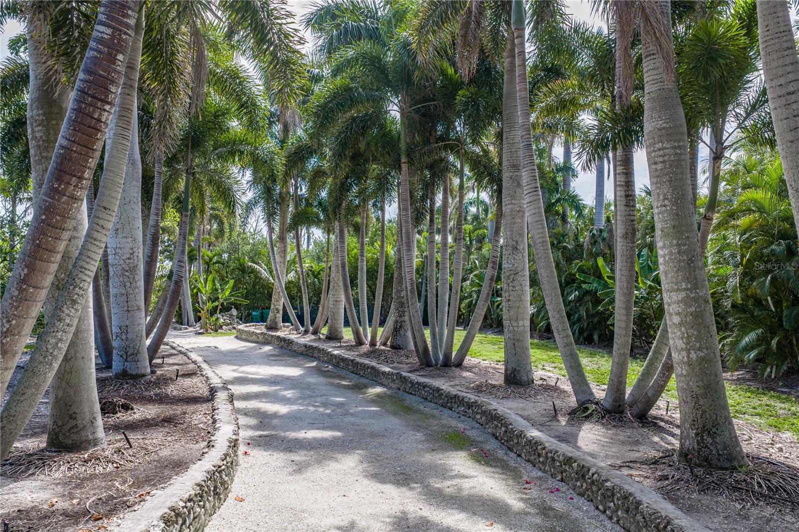 EAST SHORE ACRES 02 - Land