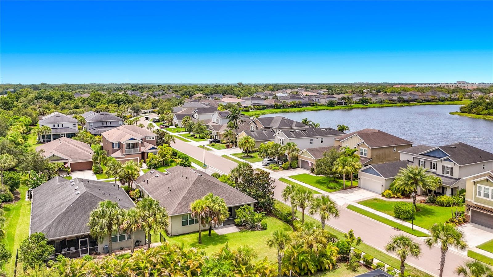 ARBOR LAKES ON PALMER RANCH - Residential