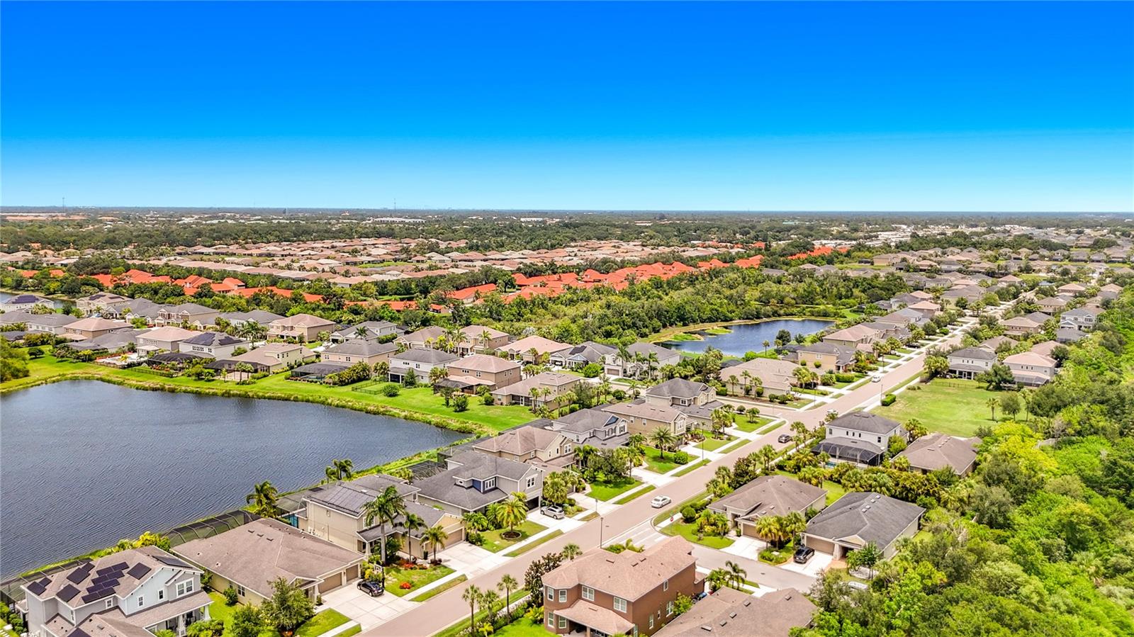 ARBOR LAKES ON PALMER RANCH - Residential