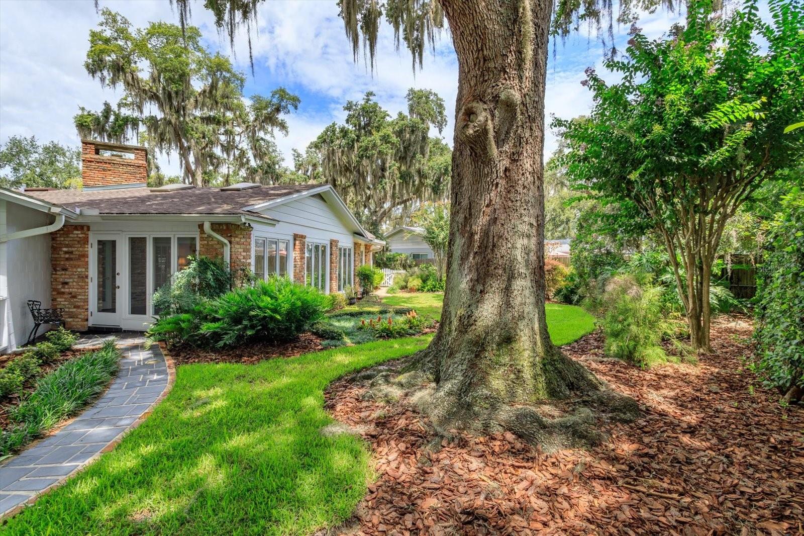 LAKE CONWAY ESTATES - Residential