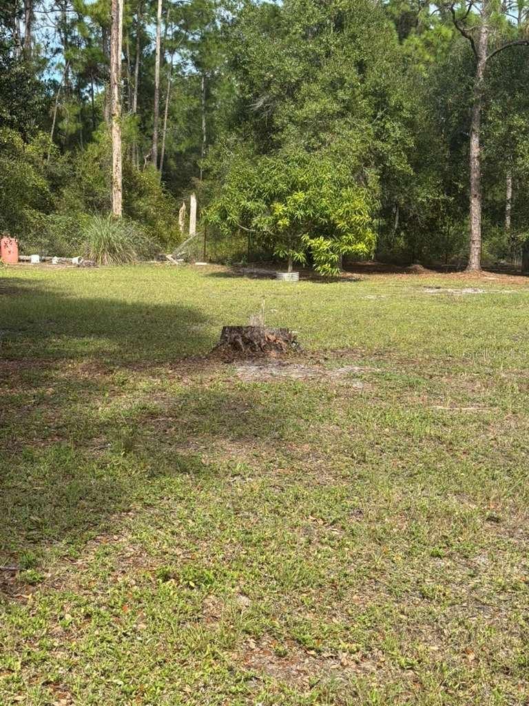 MONTURA RANCH ESTATES 5372 - Land