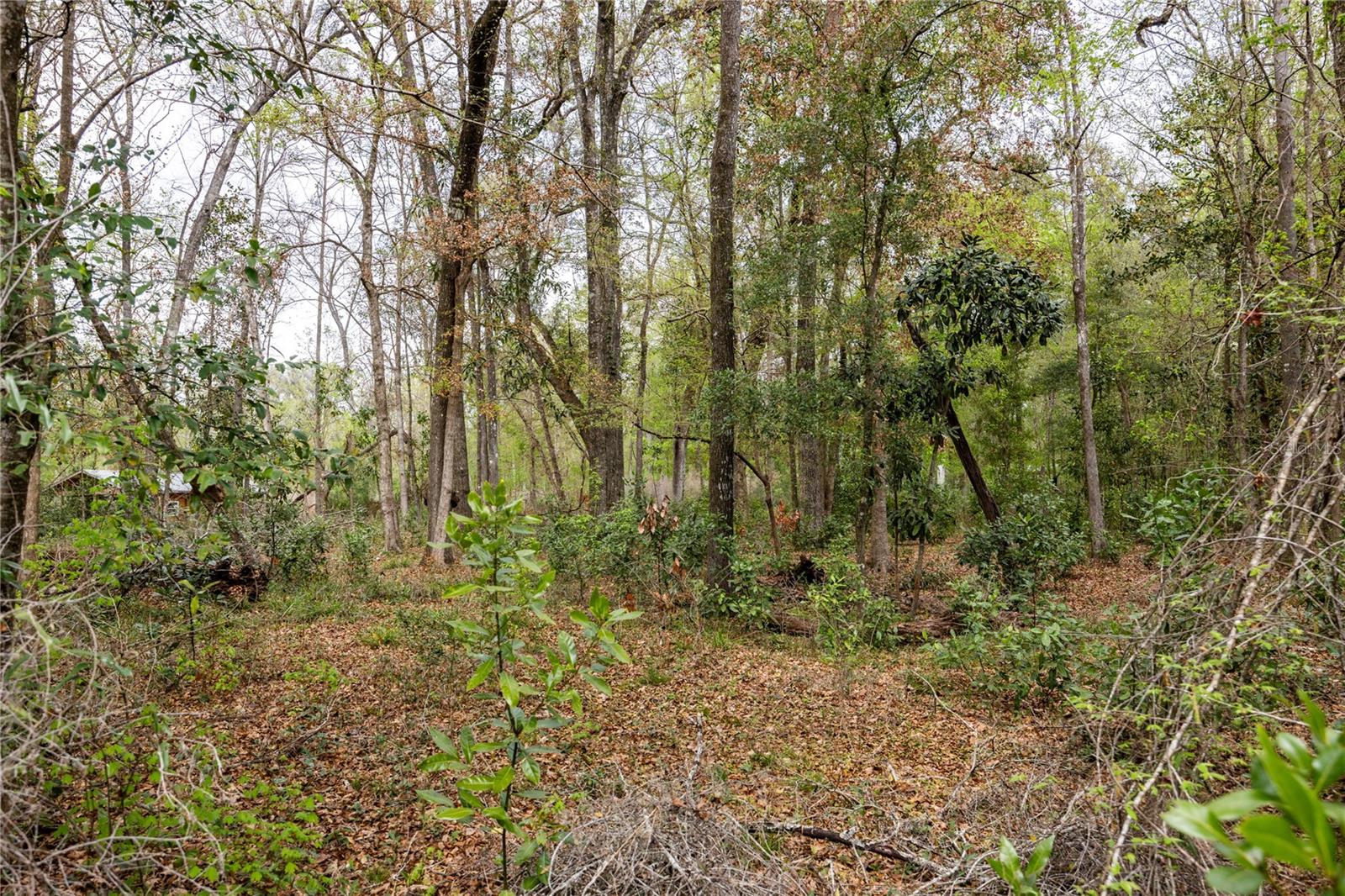 Welcome to North Central Florida!  This is Lot 45 which is naturally a wooded lot is located in Three Rivers Estates in Fort White recognized for River life – swimming, canoeing, kayaking, fishing, enjoying the beauty along the Santa Fe & Itchetuknee Rivers.  With access to 13 private parks & boat ramps just ride your golf cart around waving to the neighbors as you pass by.  Build or set up your dream home on almost a full acre.  Also available is the vacant lot next door & 4 other lots with power, wells & septic systems for 6 total connected lots.