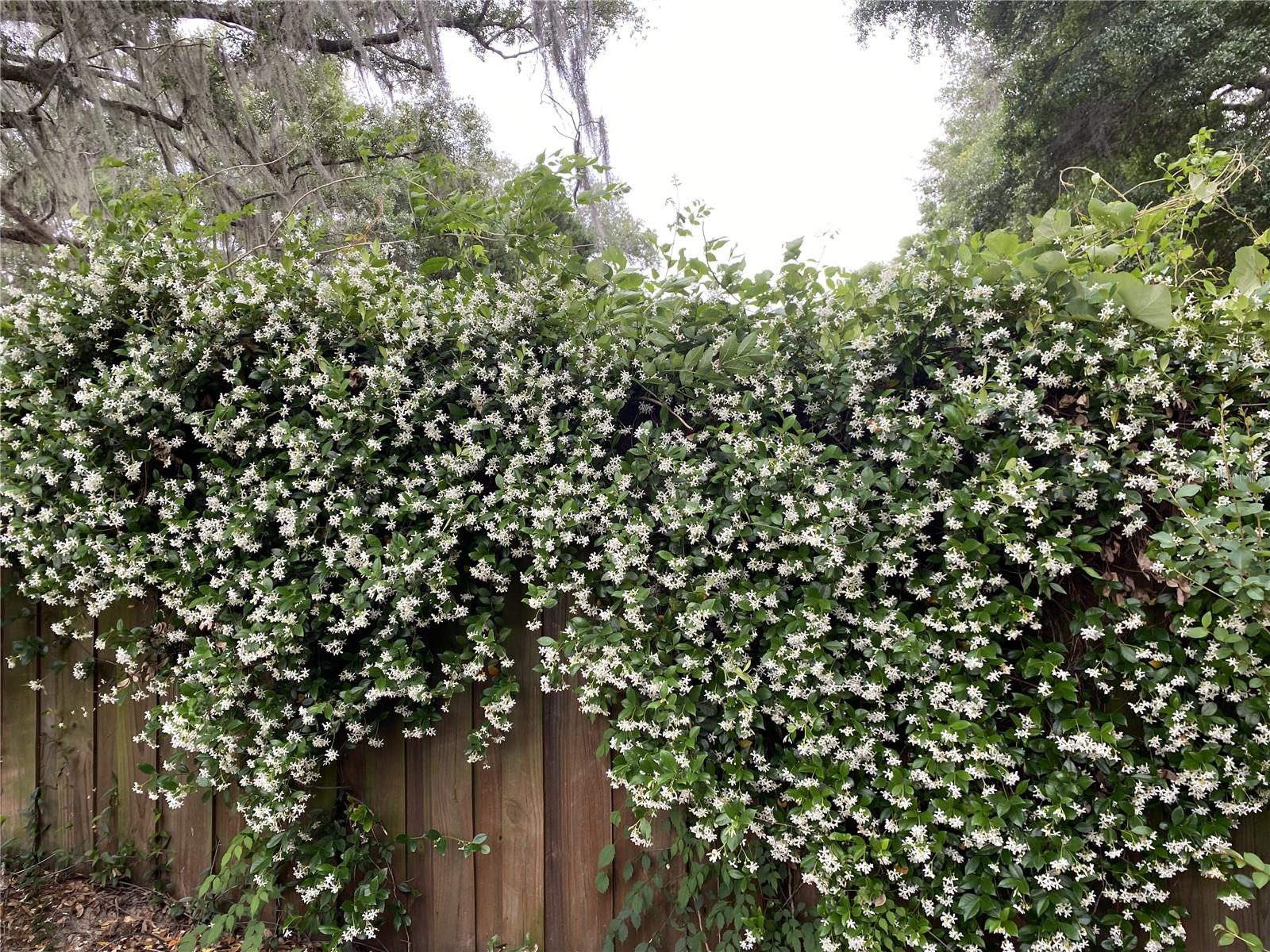 UNASSIGNED - Residential
