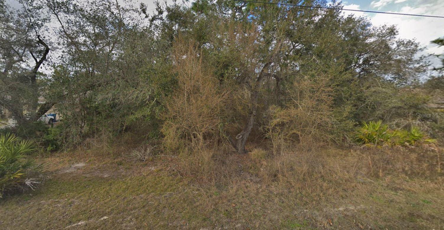 Discover the perfect spot to create your ideal Florida lifestyle on this .51-acre lot nestled in a peaceful Hernando County setting. With utilities nearby, this property offers both convenience and potential — whether you’re looking to build your forever home, a weekend retreat, or invest for the future. Enjoy plenty of room for your vision, surrounded by the natural beauty and tranquility this area is known for.

Located just a short drive from shopping, dining, and outdoor recreation, you’ll have easy access to all the essentials while still enjoying a quiet, rural atmosphere. Don’t miss your chance to make this beautiful piece of land your own!