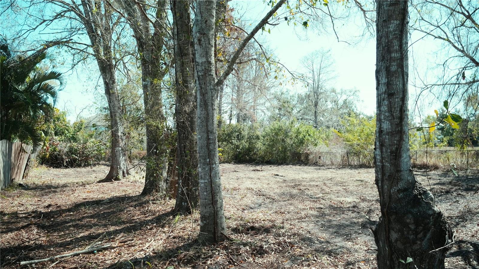 ACREAGE & UNREC - Land