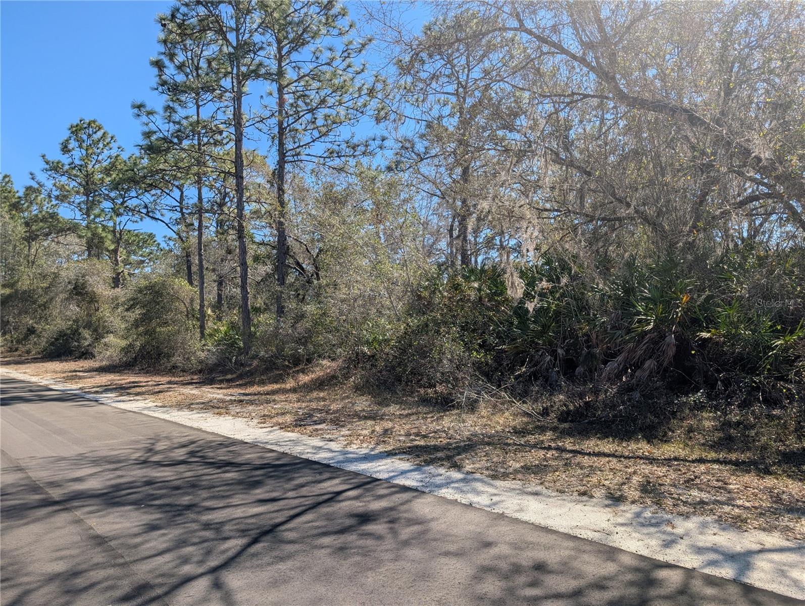 INDIAN LAKE ESTATES - Land