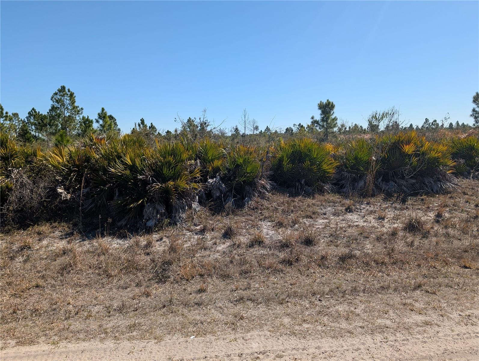 INDIAN LAKE ESTATES - Land