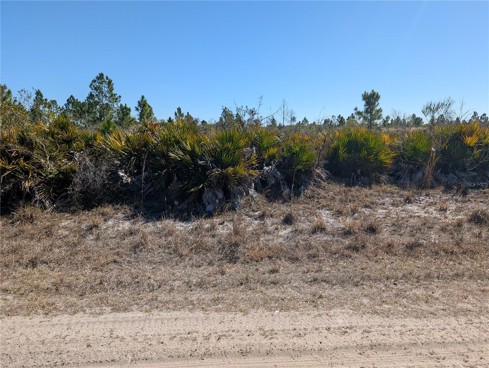 INDIAN LAKE ESTATES - Land