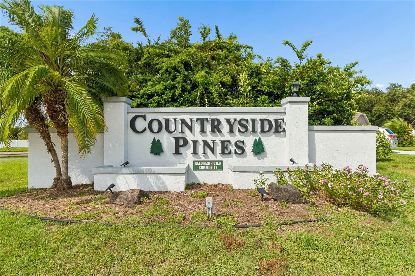 COUNTRYSIDE PINES - Residential